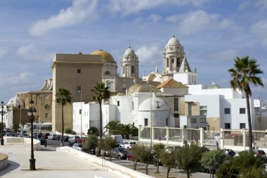cadiz katedrali