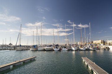 La linia portu