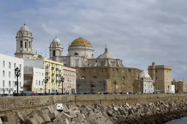 Cadiz cathedral — Stock Photo, Image