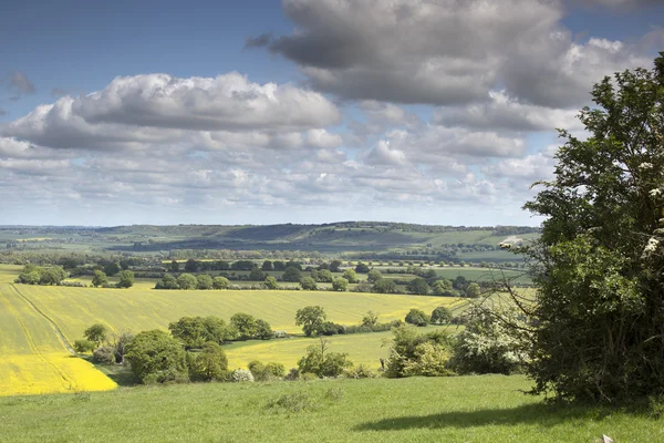 Campo inglês no vale do chiltern — Fotografia de Stock