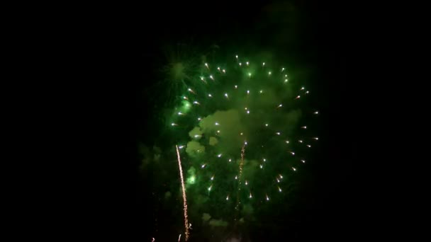 Fuochi d'artificio esplosione notte valencia festival — Video Stock