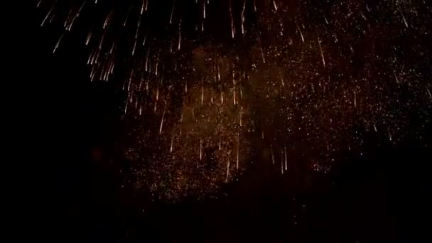 Havai fişek patlama gece valencia Festivali — Stok video