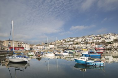 devon brixham limanda palamarla balıkçı tekneleri