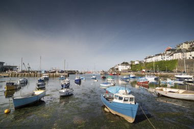 devon brixham limanda palamarla balıkçı tekneleri