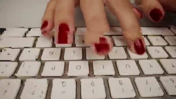 Mujeres manos escribiendo en el teclado de la computadora — Vídeos de Stock