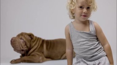 Shar pei köpeği ve küçük kız.