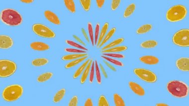 Dönen canlandırılmış narenciye meyveleri