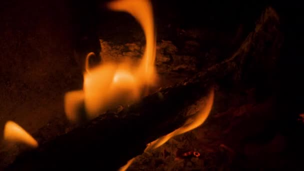Flammor i en braskamin — Stockvideo