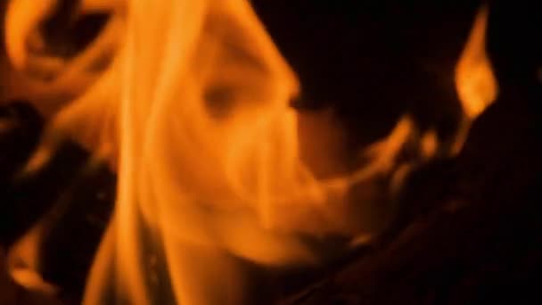 原木壁炉中的火焰 — 图库视频影像