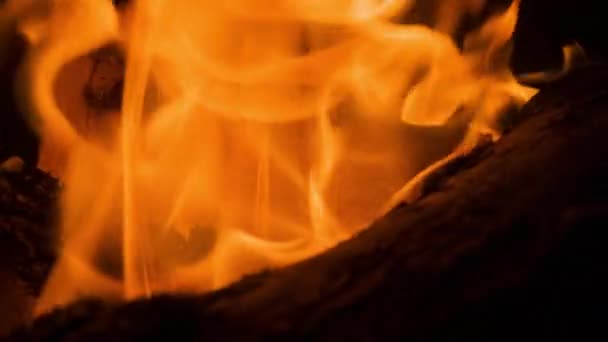 Płomienie w kominku z drewna — Wideo stockowe