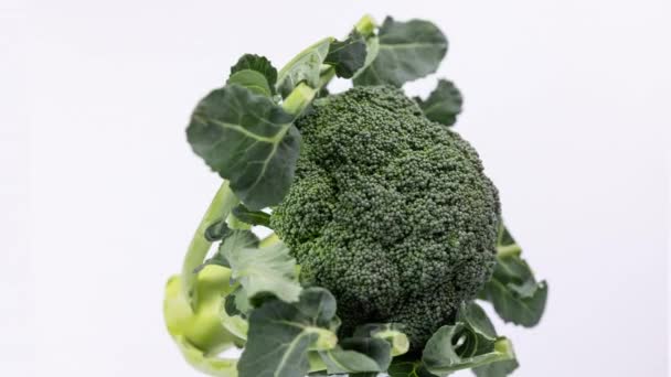 Organiczne brokuły przędzenia na białym — Wideo stockowe
