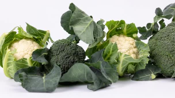 Organic broccoli and cauliflours on white — Stock Video