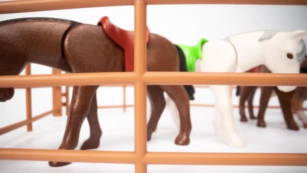 Figuras de cavalo de brinquedo contra branco — Vídeo de Stock