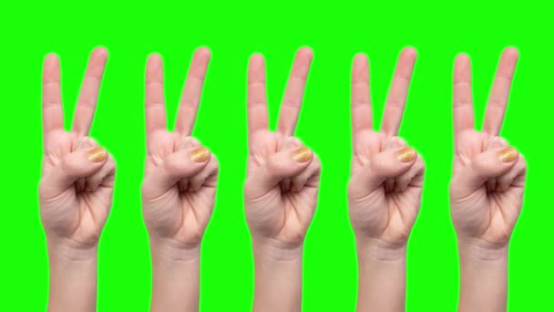 Multiple female hands making peace sign — Stock Video