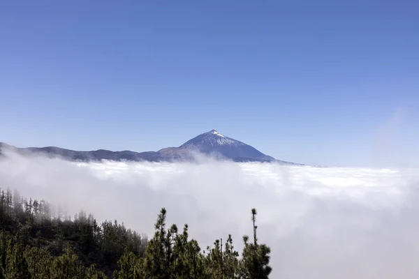El teide in the clouds tenerife — стоковое фото