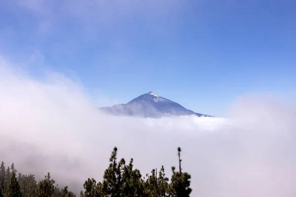 El teide in the clouds tenerife — стоковое фото