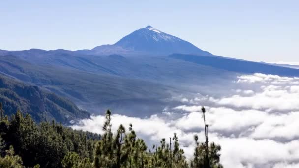 Tenerife kanarya adalarında bulut denizi — Stok video