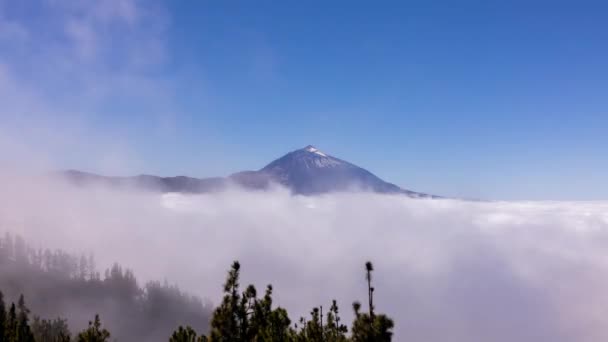 Sea of clouds at el teide in tenerife canary islands — стоковое видео