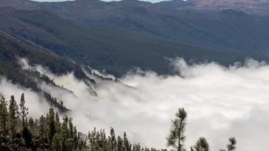 Tenerife kanarya adalarında el teide