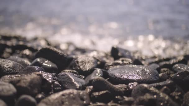 Volcanic rock beach and sea in canary islands — Stockvideo