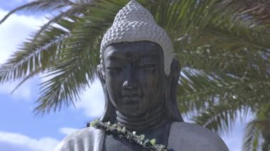 Palmiye ağaçlı Buda heykeli