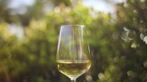Біле вино в келиху проти зелених рослин — стокове відео
