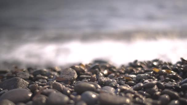 Volcanic rock beach and sea in canary islands — Vídeo de stock