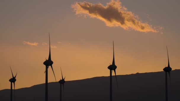 Wind turbines at sunset in canary islands — Stockvideo