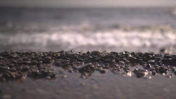 Volcanic rock beach and sea in canary islands — Stockvideo