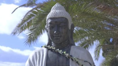 Palmiye ağaçlı Buda heykeli