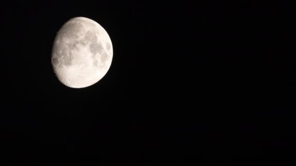 Большая луна проходит в ночном небе — стоковое видео