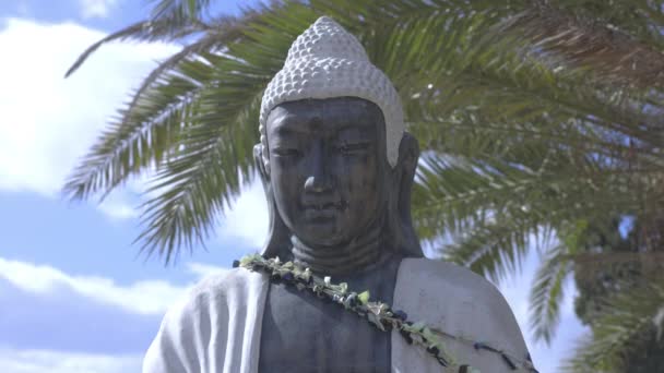Buddha szobor pálmafákkal — Stock videók