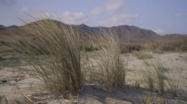Cabo de gata landscape in spain
