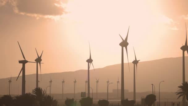 Wind turbines at sunset in canary islands — Stok Video
