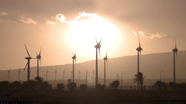 Вітрові турбіни на заході сонця на канарських островах — стокове відео