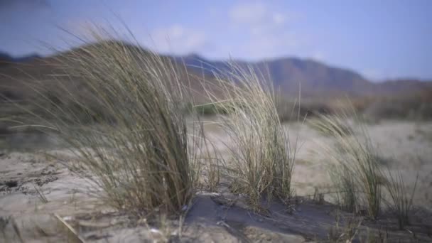 Cabo de gata landscape in spain — Vídeo de Stock