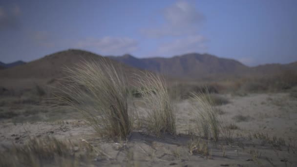 Cabo de gata landscape in spain — Video