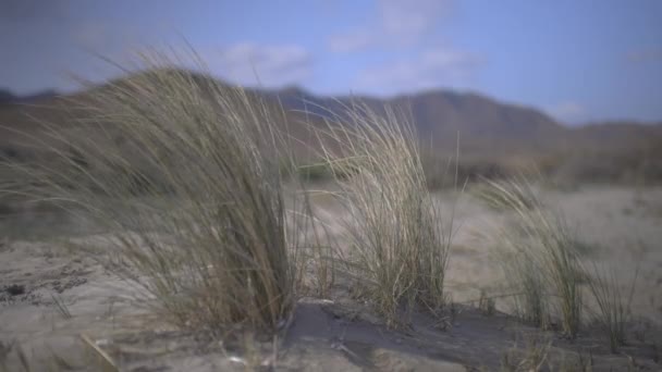 Cabo de gata landscape in spain — Stock video