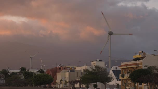 Wind turbines at sunset in canary islands — стоковое видео