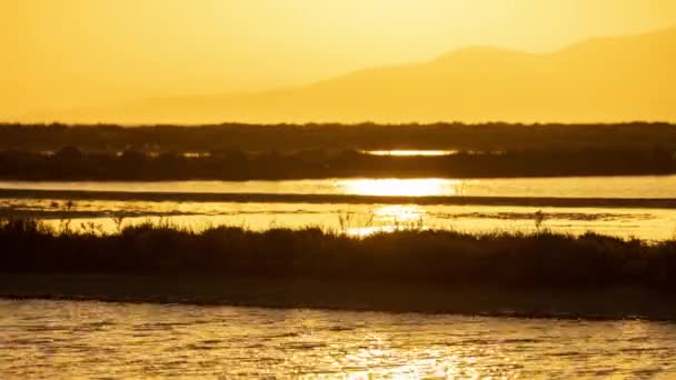 Delta pântanos por do sol com nuvens — Vídeo de Stock