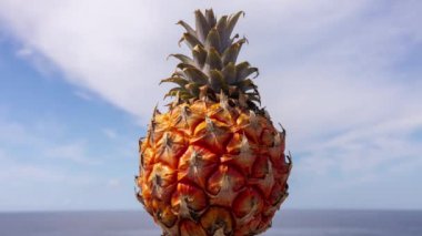 Deniz ve bulutlu egzotik ananas