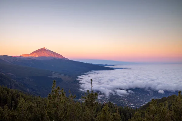 Teide Sobre Las Nubes Isla Canaria Tenerife España Amanecer —  Fotos de Stock