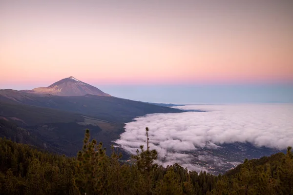 Teide Nad Mraky Kanárském Ostrově Tenerife Španělsko Při Východu Slunce — Stock fotografie