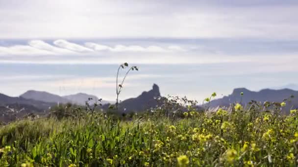 Timelapse Roque Nublo Gran Canaria — Wideo stockowe