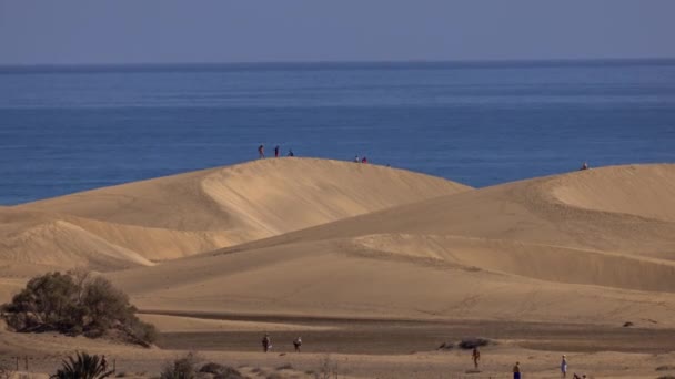 Zeitraffer Der Sanddünen Von Maspalomas Auf Gran Canaria Spanien — Stockvideo