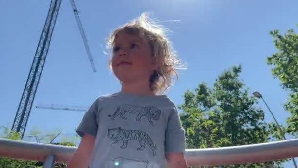 Uma Menina Pequena Girando Uma Rotunda Parque — Vídeo de Stock