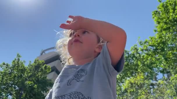 Uma Menina Pequena Girando Uma Rotunda Parque — Vídeo de Stock