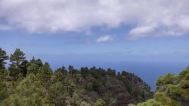 A timelapse view of the coast of la palma in the canary islands with trees and forest