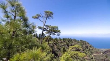 Ağaçlar ve ormanlarla kaplı kanarya adalarındaki La Palma sahilinin zaman çizelgesi.