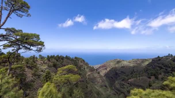 Timelapse View Coast Palma Canary Islands Trees Forest — Stok video